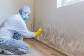 Mold Removal Services