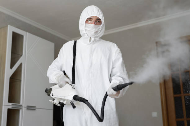 Best Mold Removal for HVAC Installations  in Raynham Center, MA